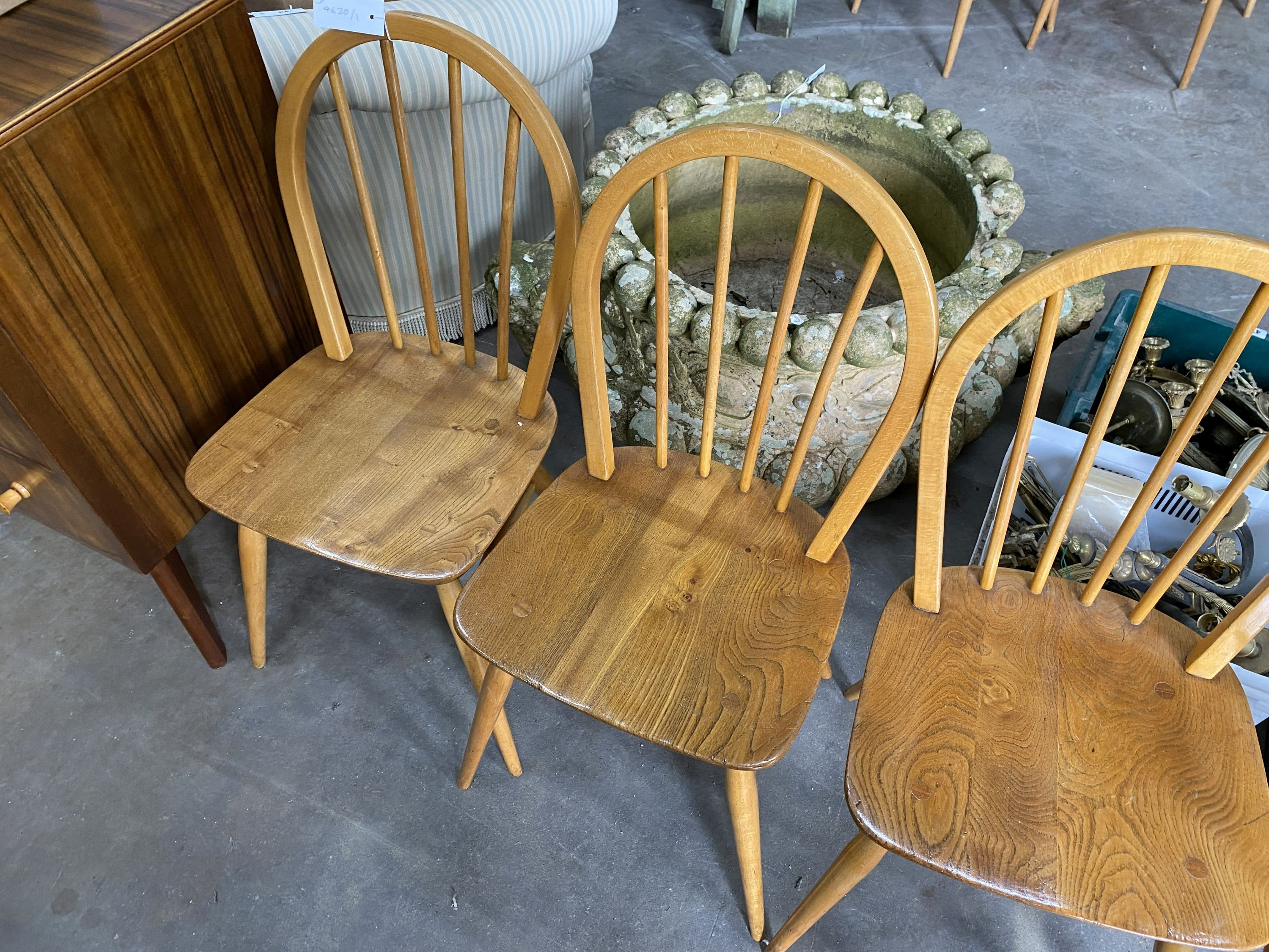 A set of four 1950's Ercol chairs